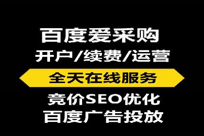 竞价广告策略案例分析